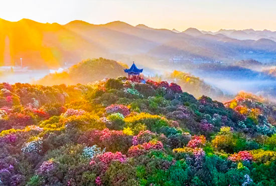 毕节